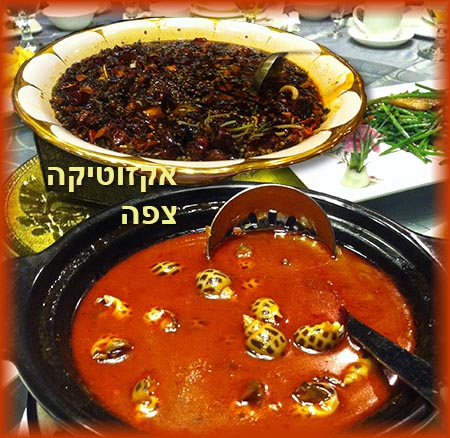 ערב